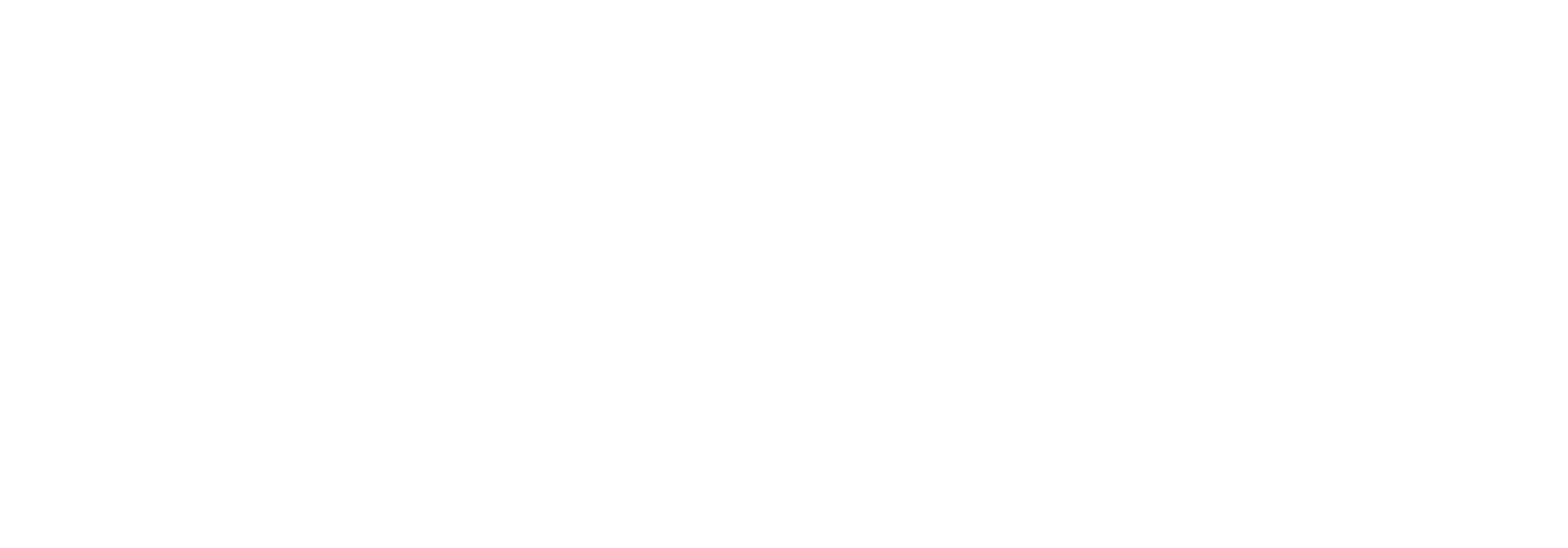 Resonant Search Partners
